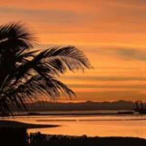 Profile photo of Saaria Alireza